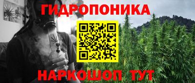 сатива Лесосибирск