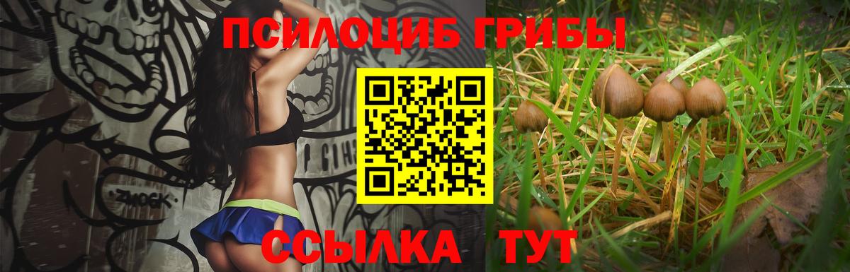 Галлюциногенные грибы Psilocybe  Псилоцибиновые грибы Psilocybe  Усинск  Вход с VPN 